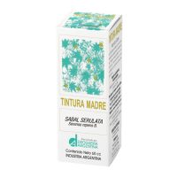 Tintura-Madre-Sabal-Serulata-El banquito almacén natural