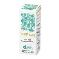 Tintura-Madre-Uva-Ursi-DA-El banquito almacén natural