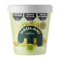 Haulani-Helado-Vegano-de-Leche-de-Coco-y-Pistacho-x-415-CC-El banquito almacén natural